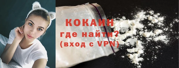 ALPHA PVP Каменка