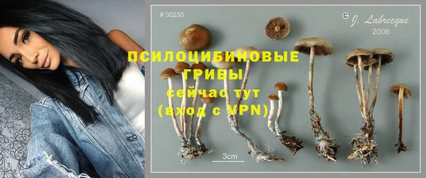 apvp Семилуки