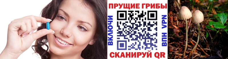 Псилоцибиновые грибы Psilocybine cubensis  Купить  Гагарин 